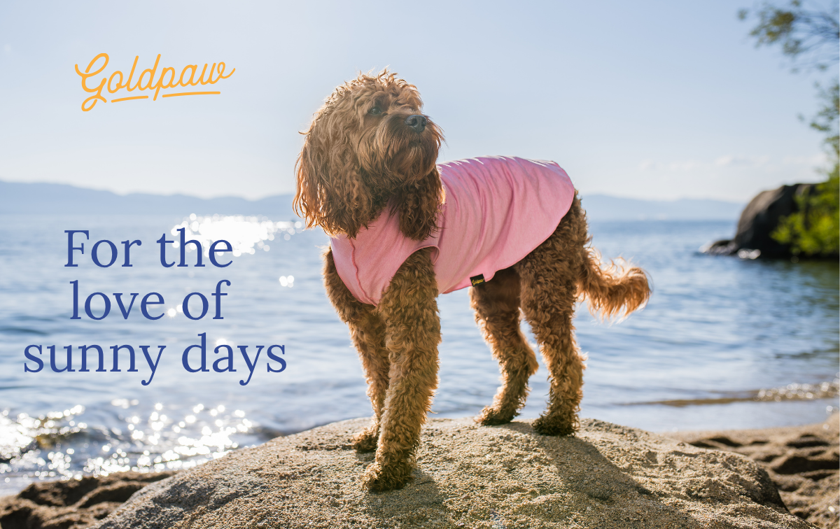 Summer | UV Blocking & Cooling Styles | Goldpaw