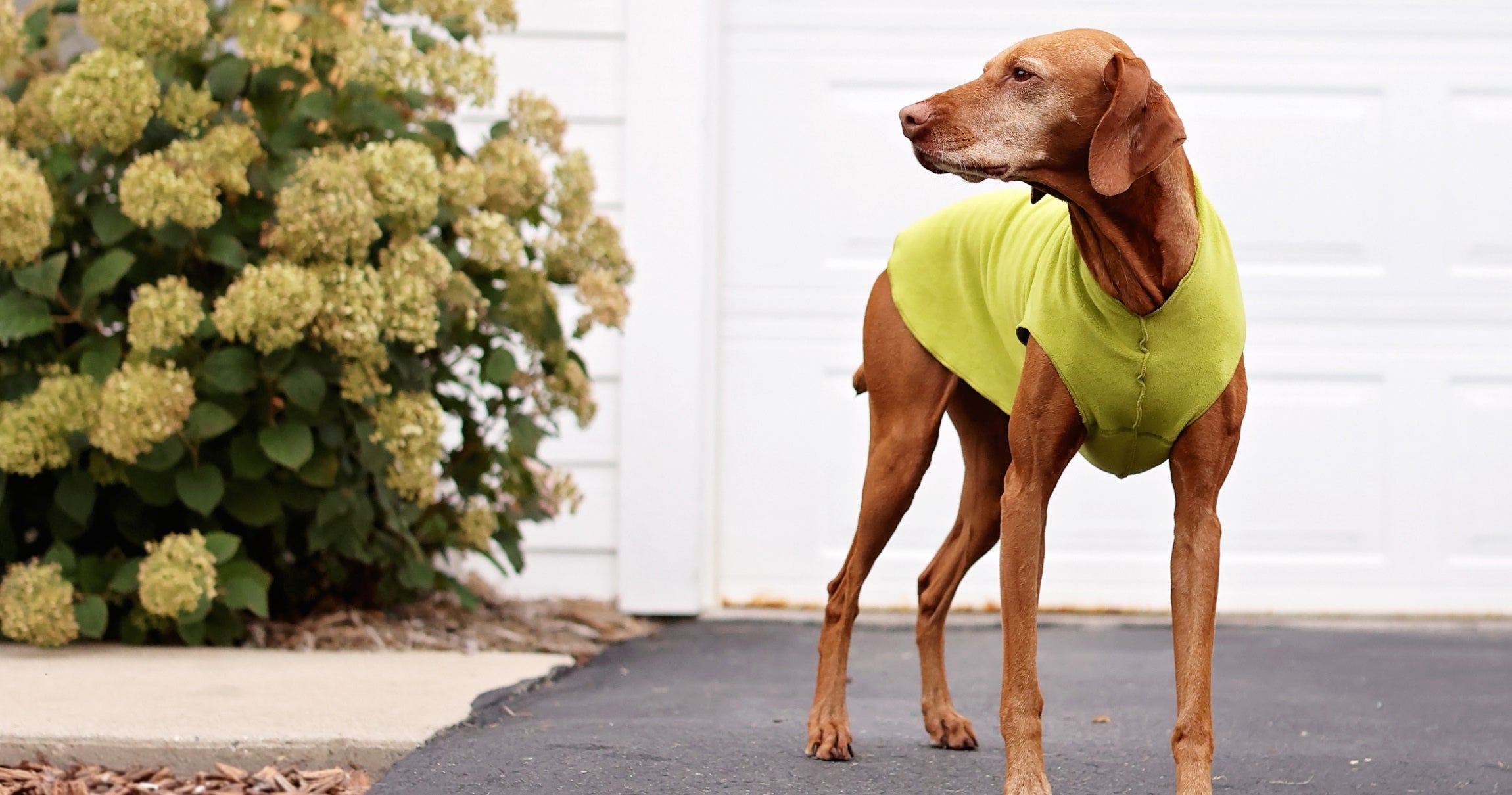 custom-slideshow-image-desktop-block_YHT8XN