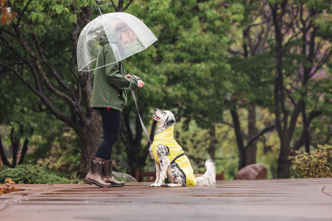 Person walking a dog in a park with a transparent umbrella and a yellow raincoat.