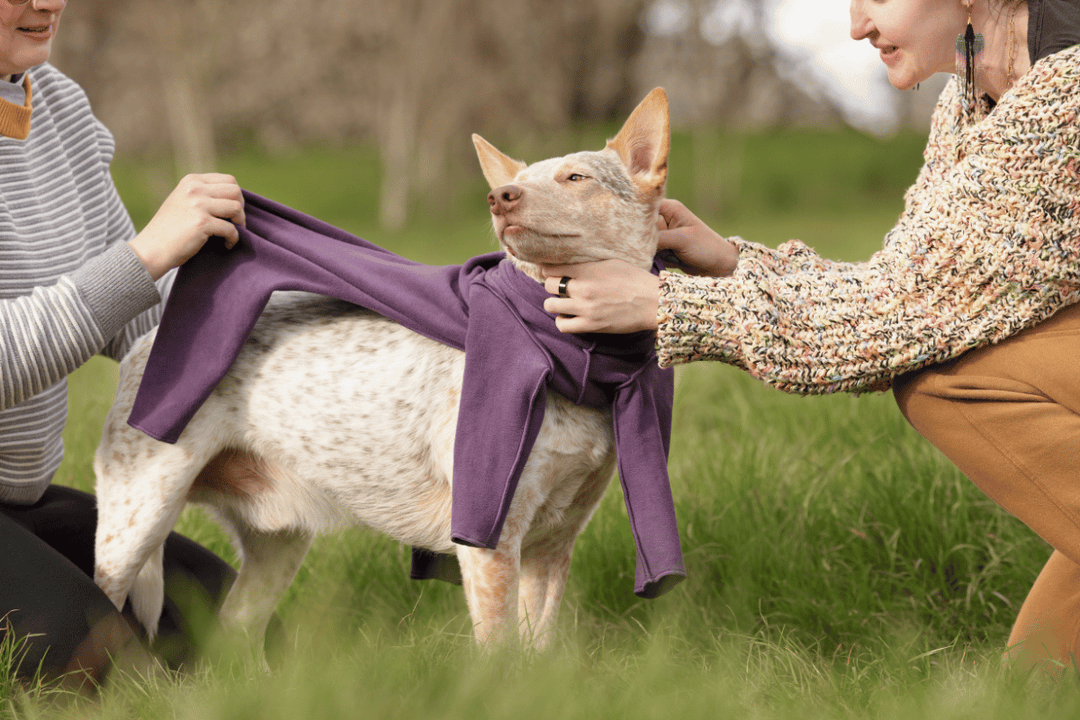 Meet Kepler: The Star of Our 20th Anniversary Photoshoot