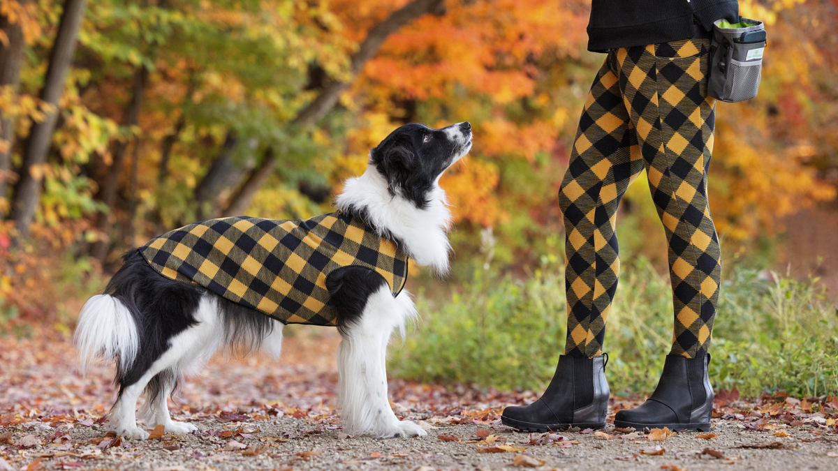 Fall
