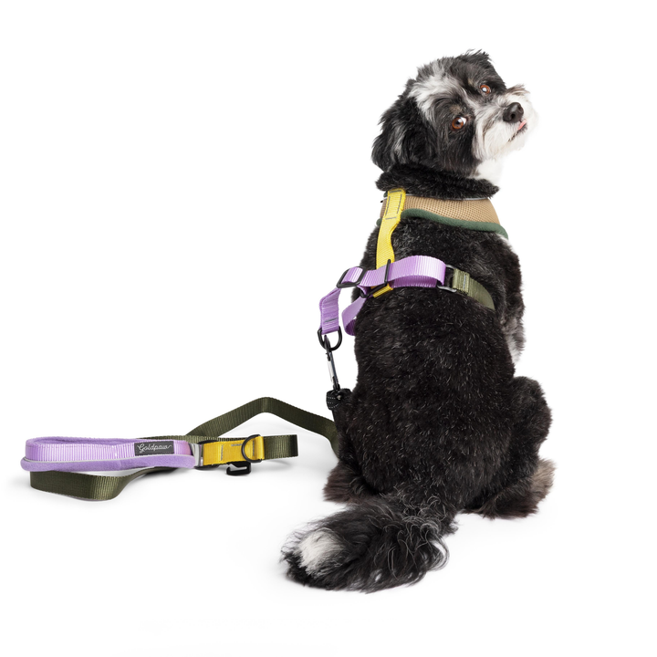 Featherweight Air Harness