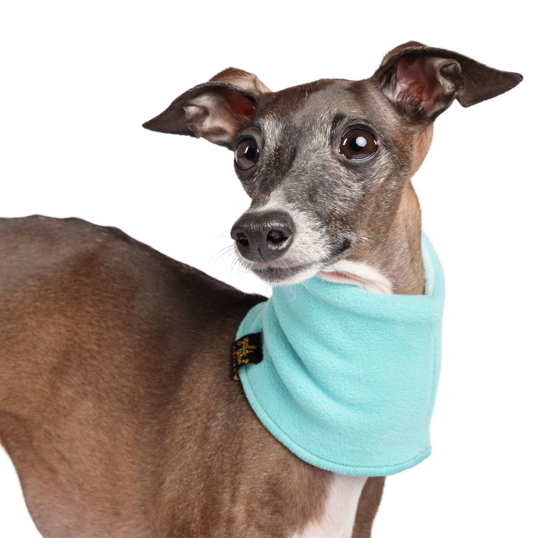 Sale - Snood