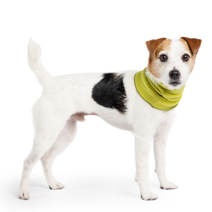 Sale - Snood