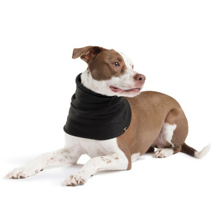 Snood
