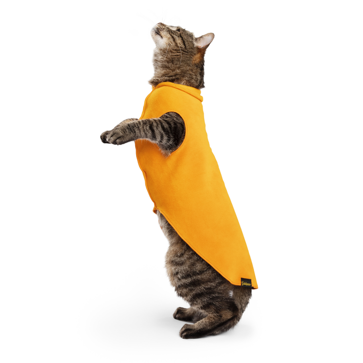 Cat Fleece
