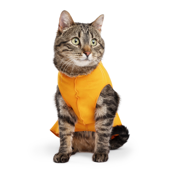 Cat Fleece