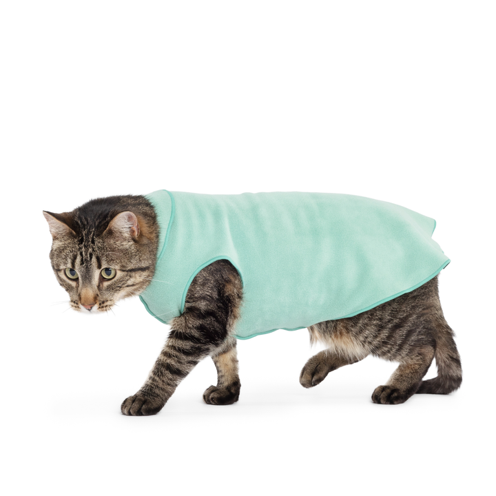 Cat Fleece
