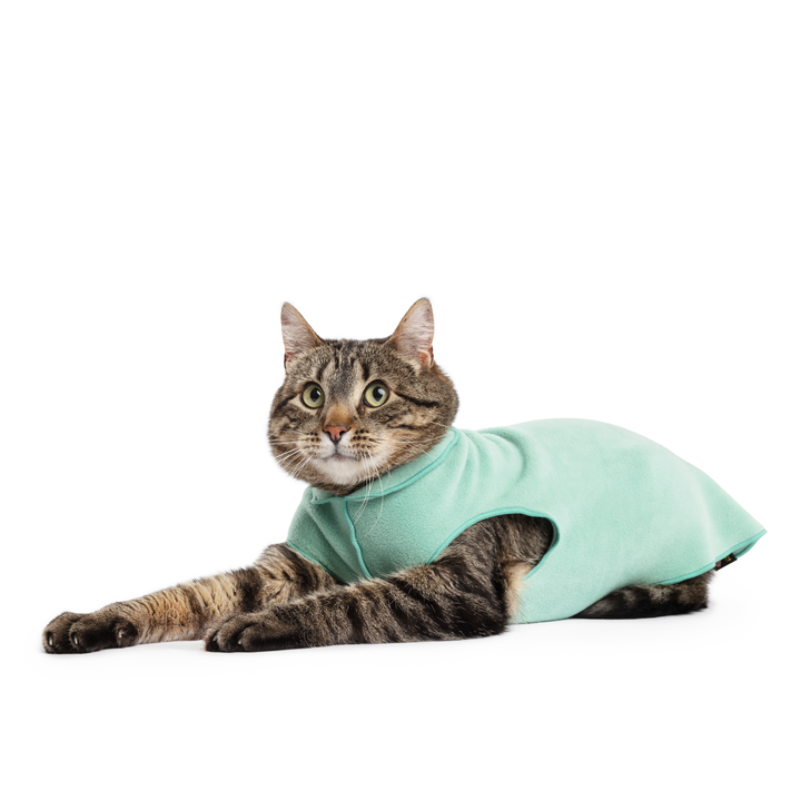 Cat Fleece