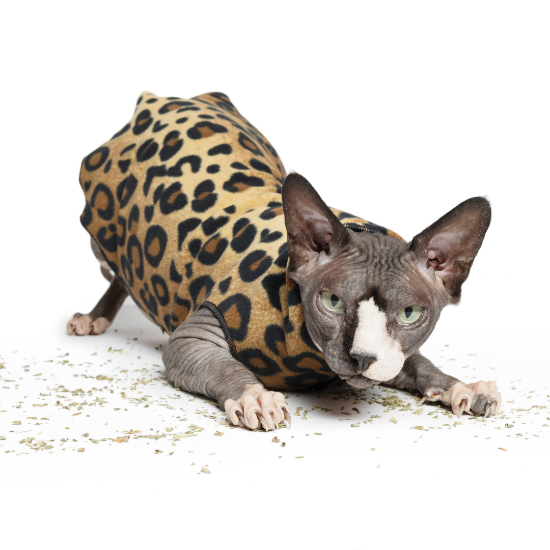 Cat Fleece