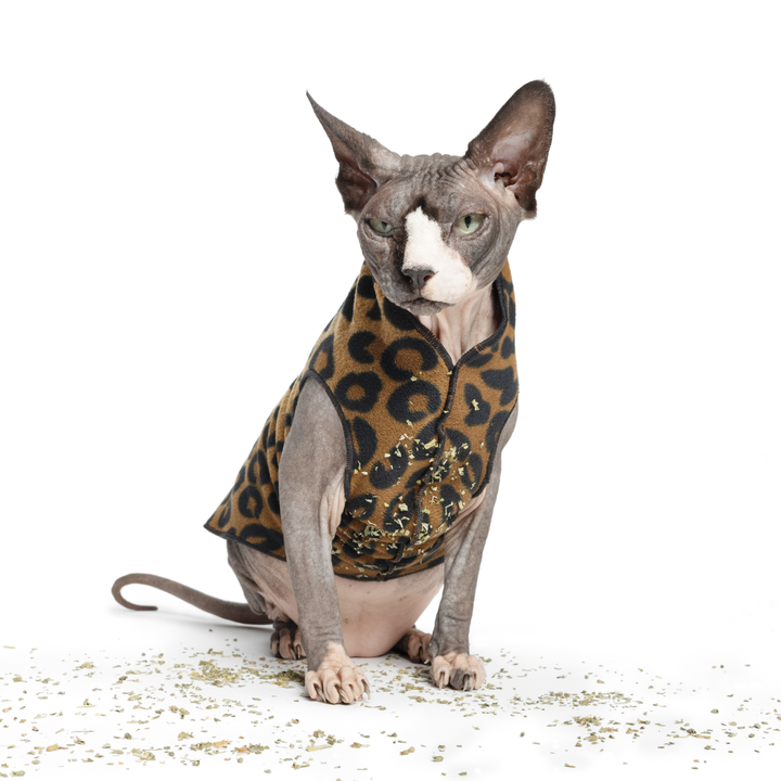 Cat Fleece