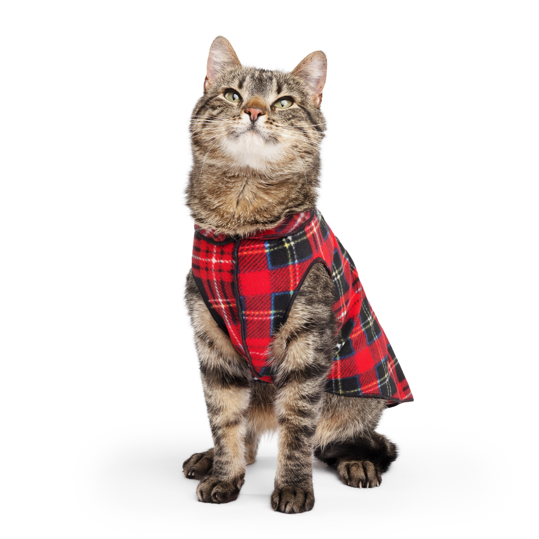 Cat Fleece