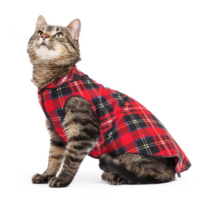 Cat Fleece