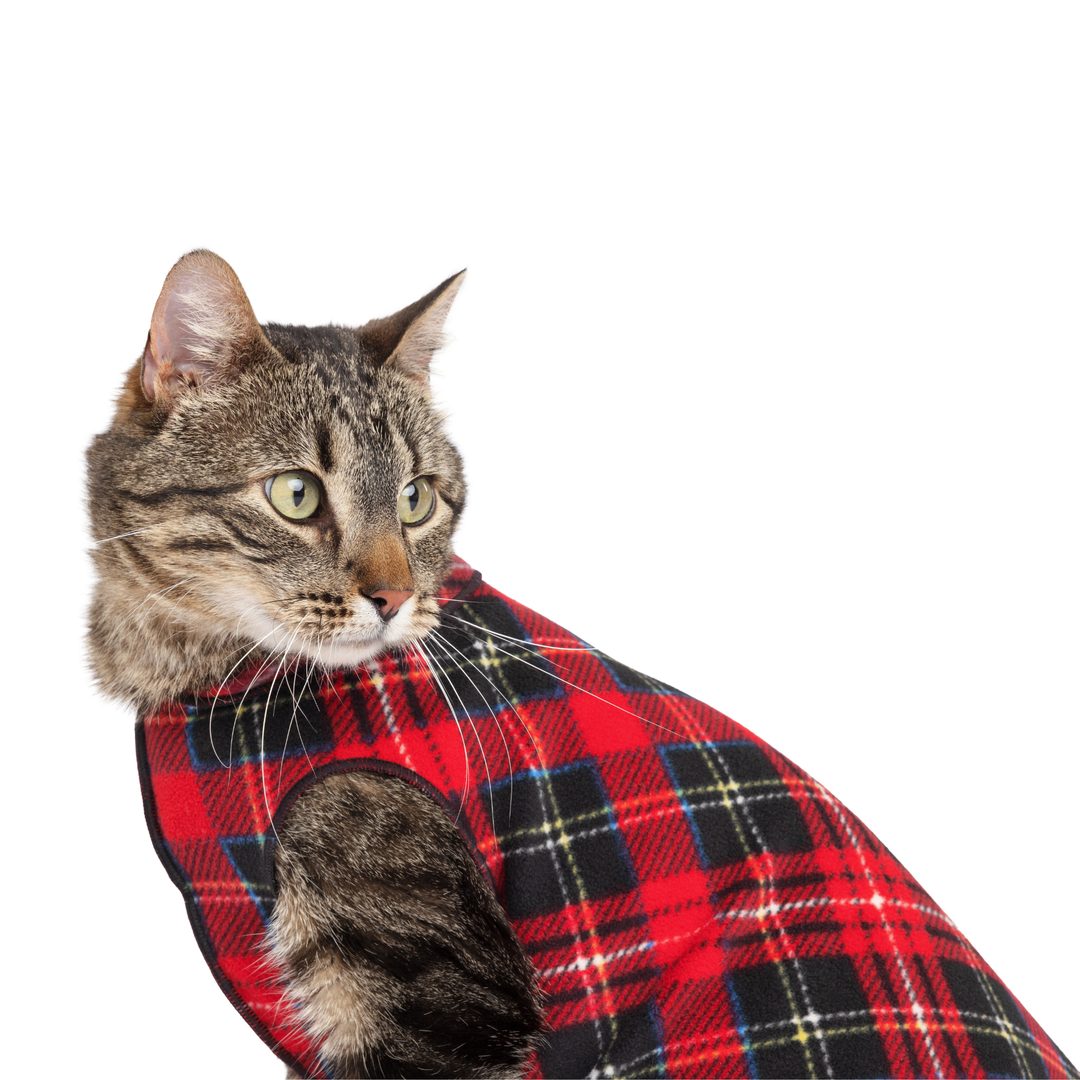 Cat Fleece