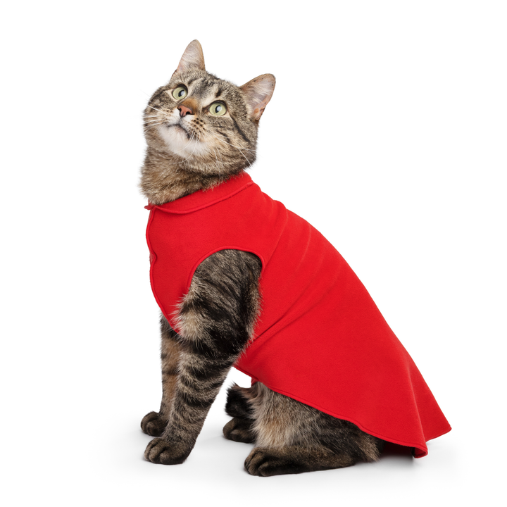 Cat Fleece