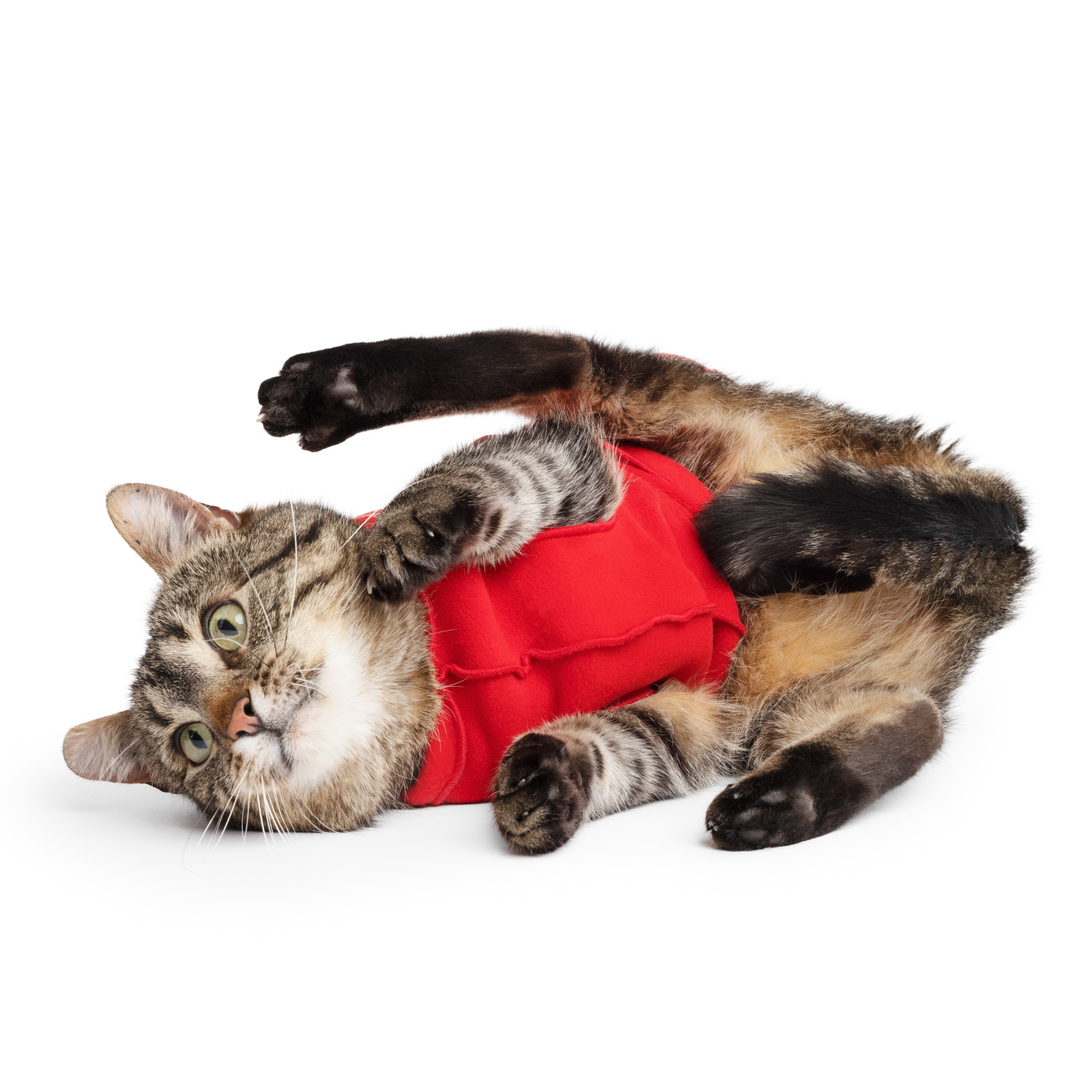 Cat Fleece