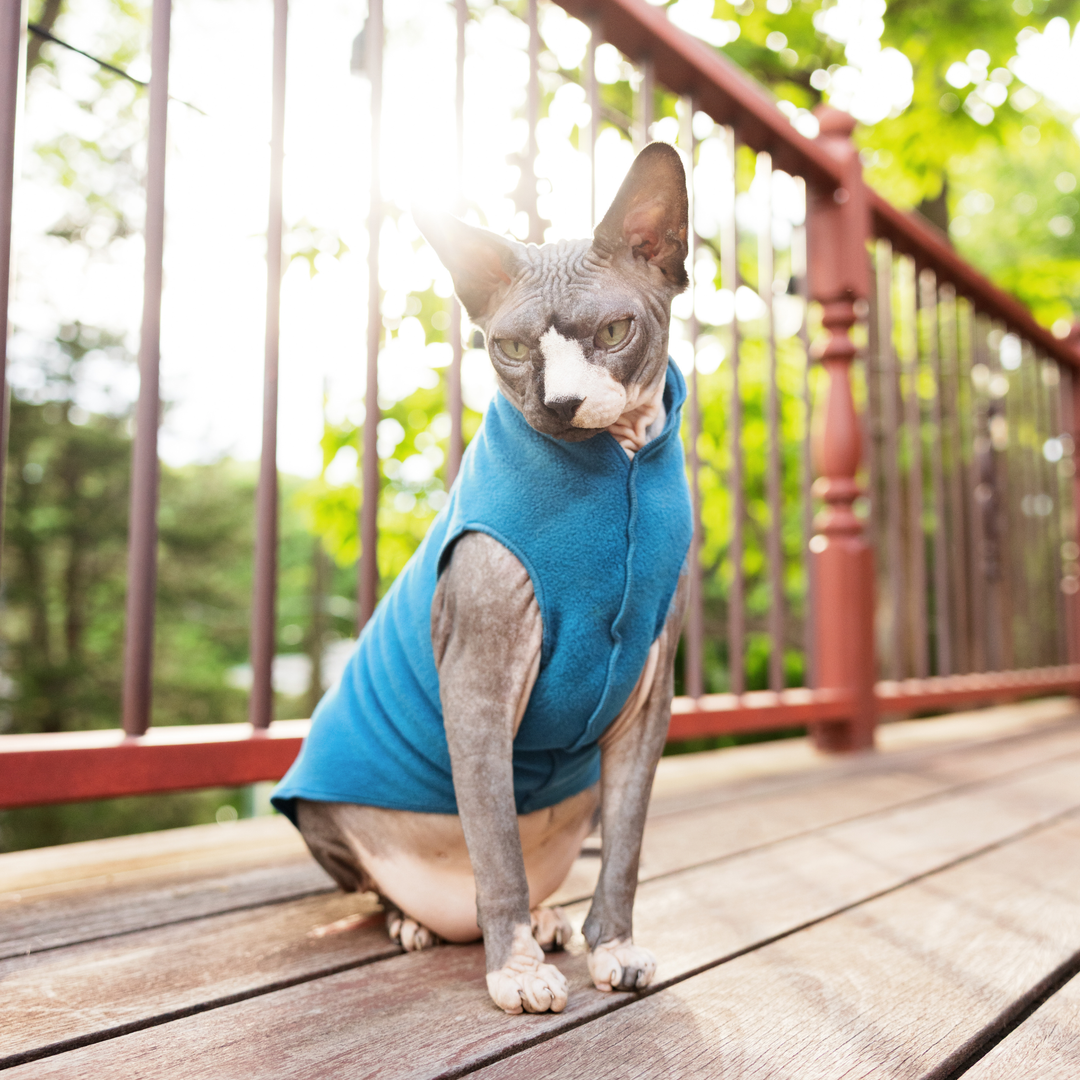 Cat Fleece