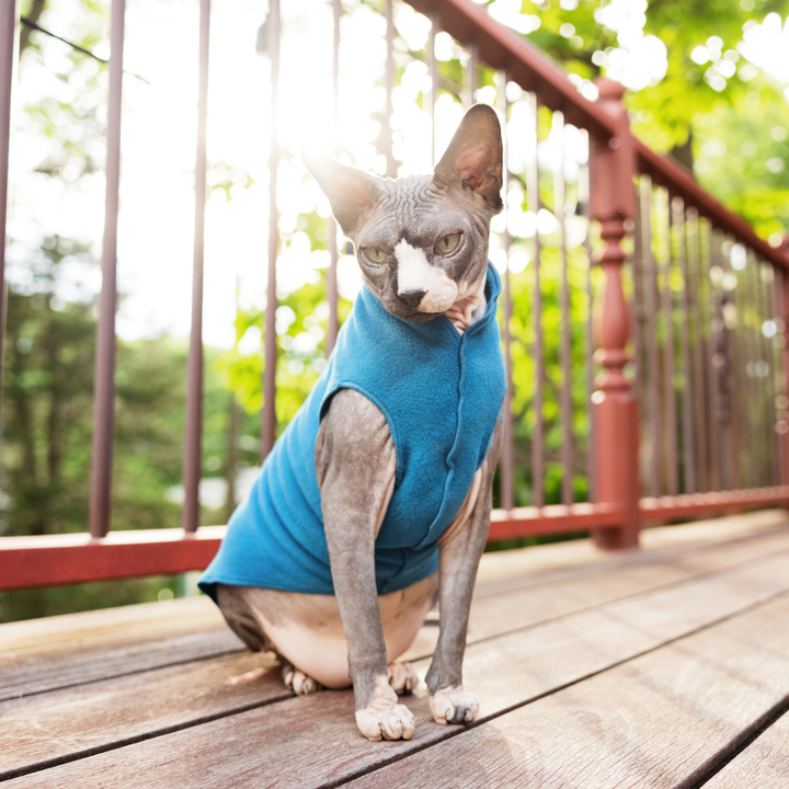 Cat Fleece