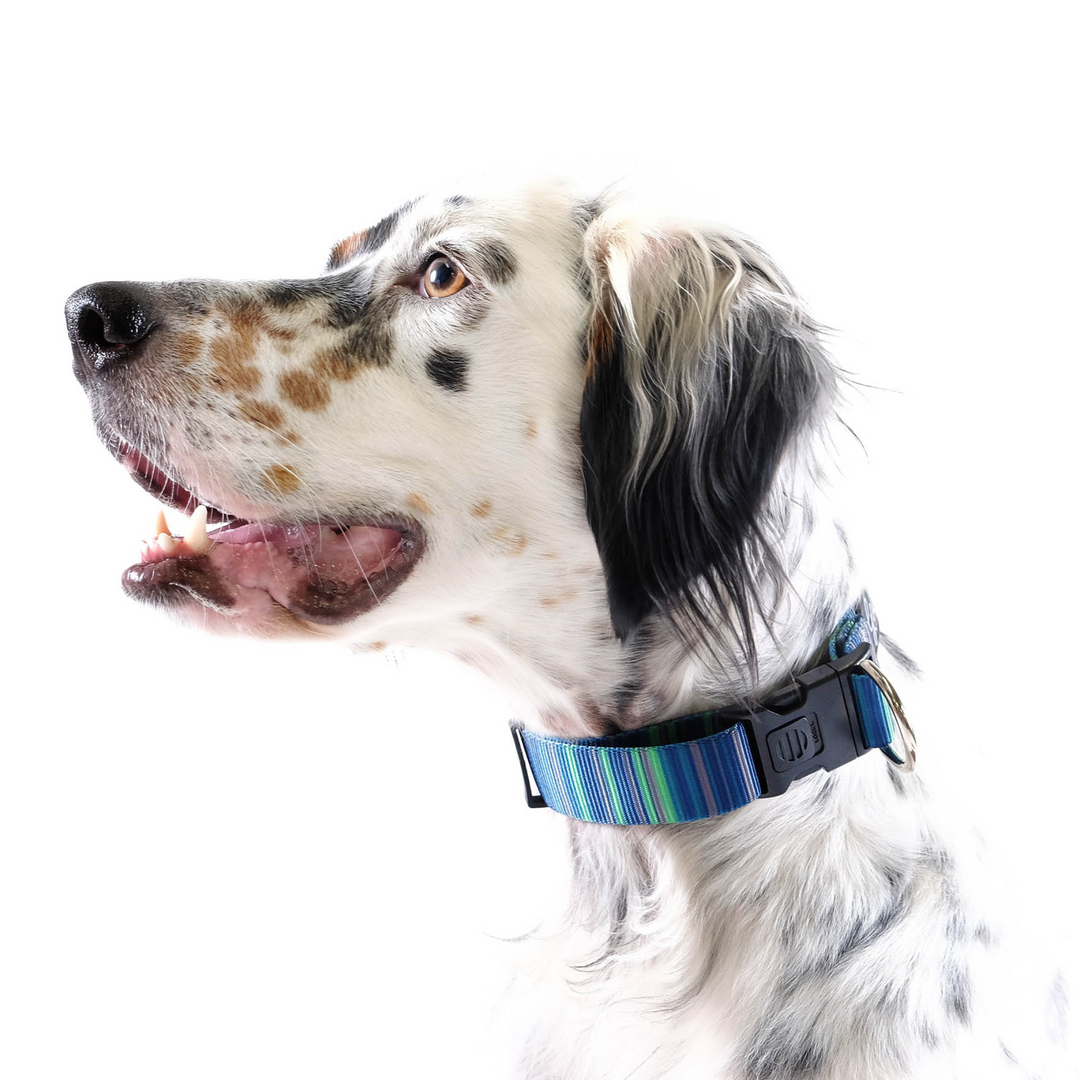 SALE - Side-Release Collar