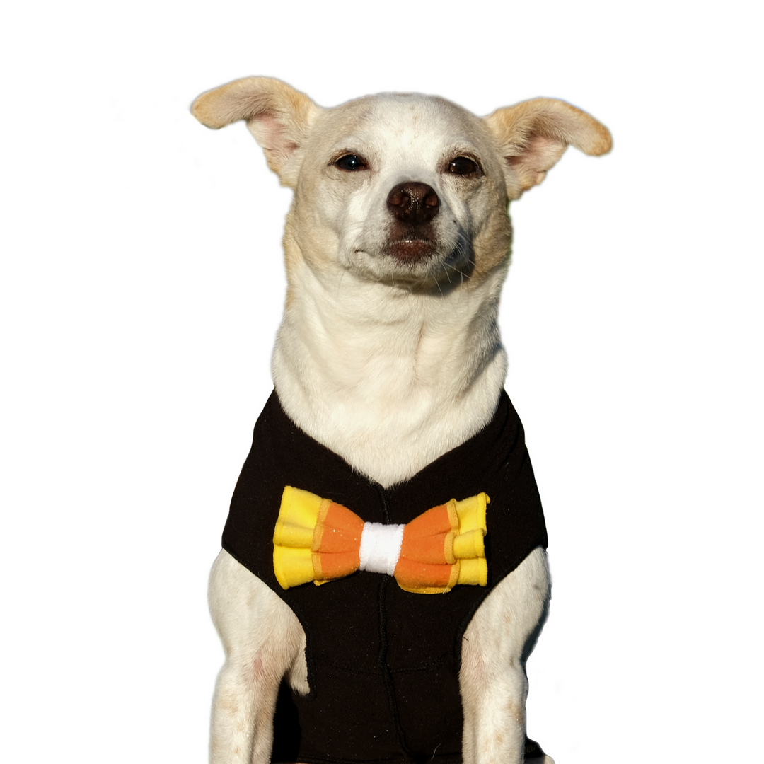 Limited Edition Fleece Candy Corn