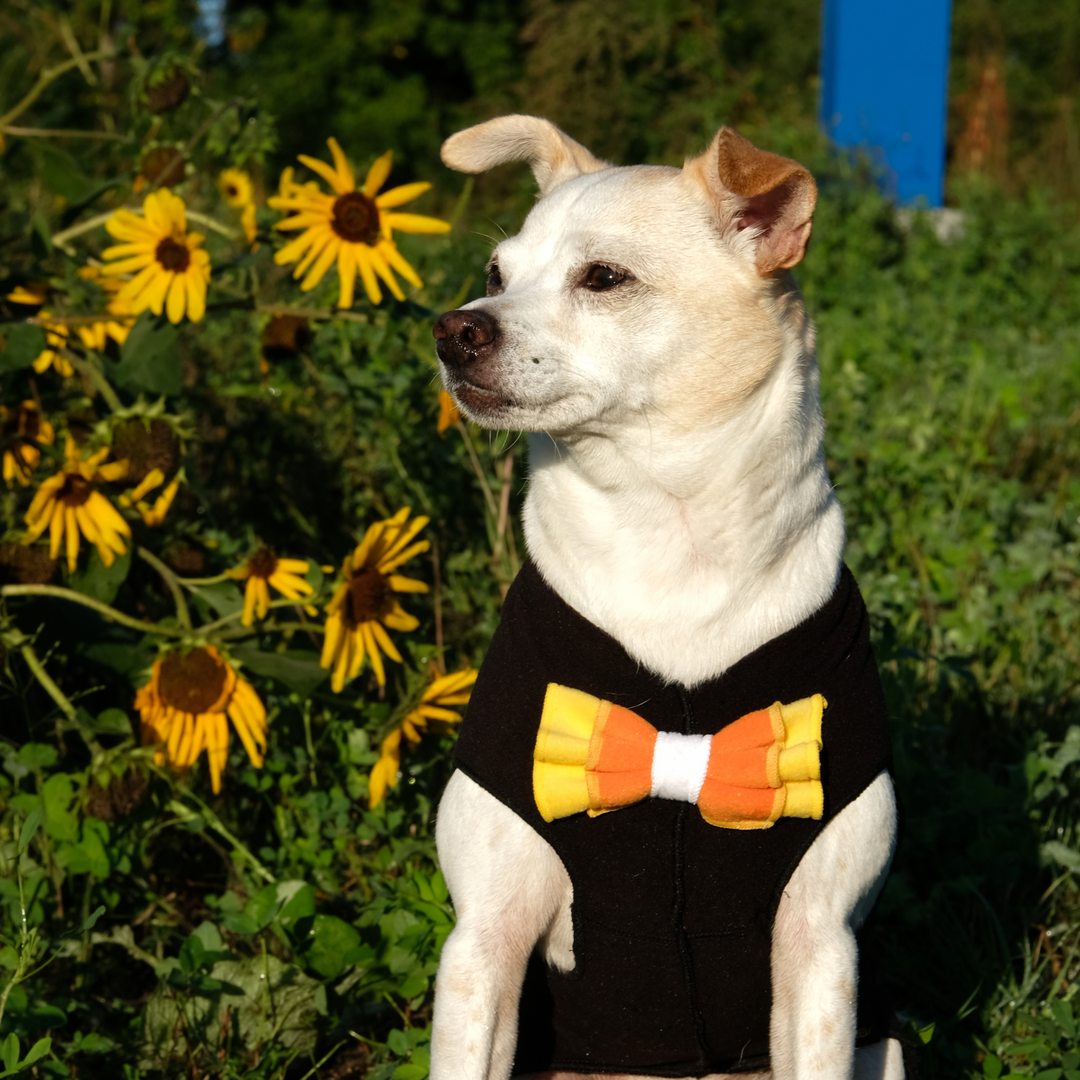 Limited Edition Fleece Candy Corn