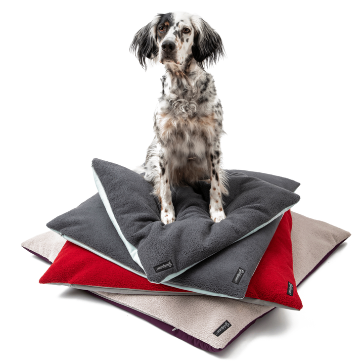 Upcycled DogBed