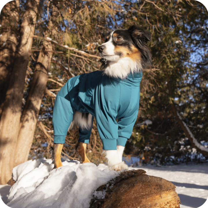 Flight Suit