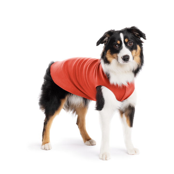 Stretch Fleece