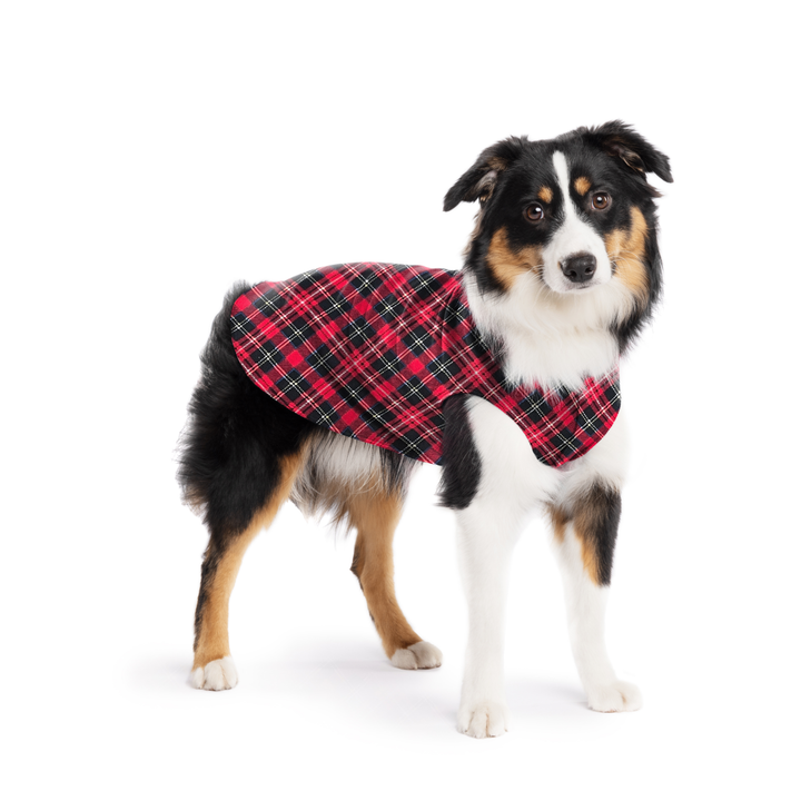 Stretch Fleece