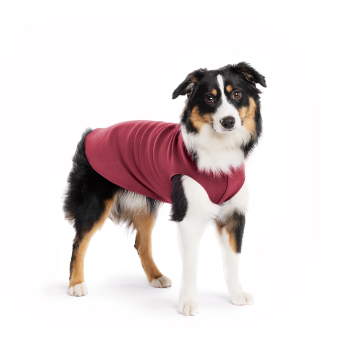Stretch Fleece