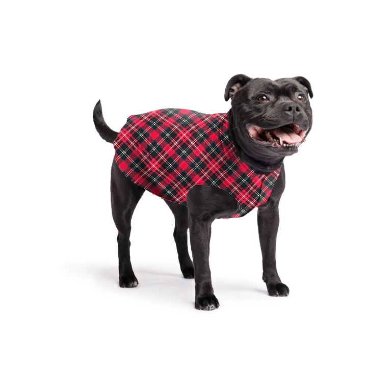 Stretch Fleece