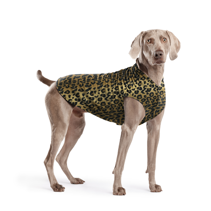 Stretch Fleece