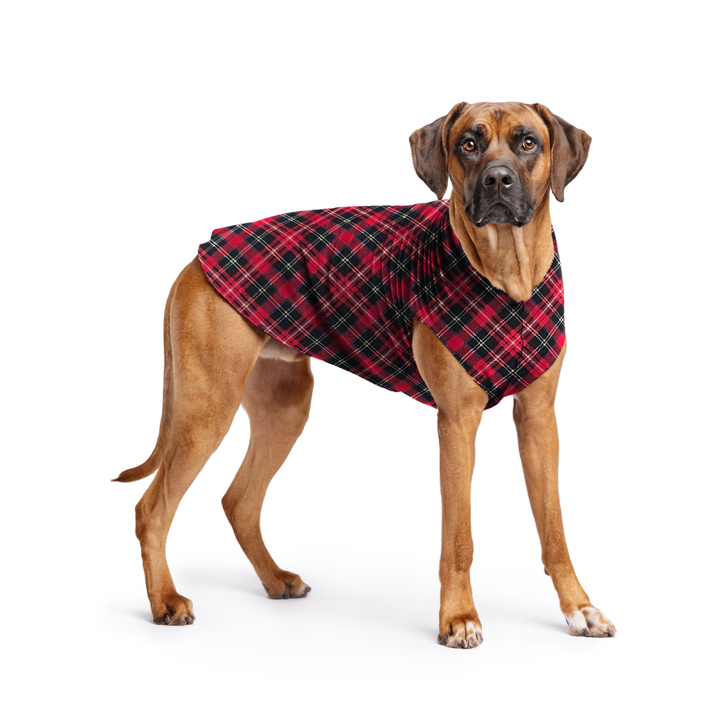 Stretch Fleece