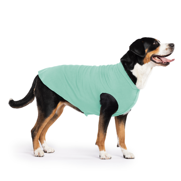 Stretch Fleece
