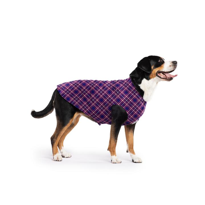 SALE - Stretch Fleece