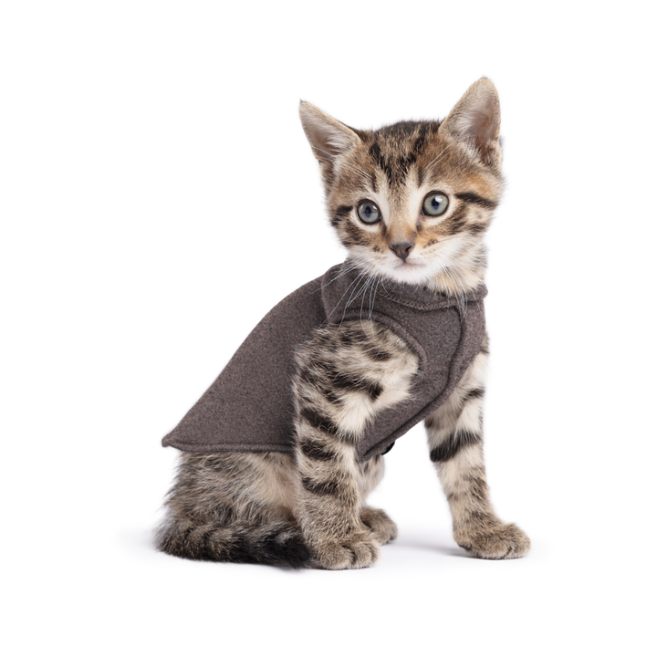 Stretch Fleece