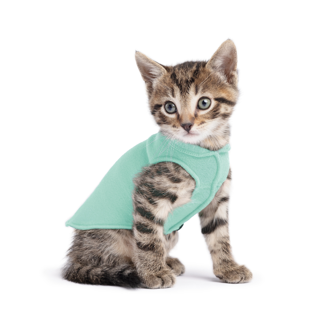Stretch Fleece