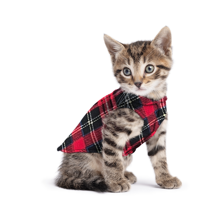 Stretch Fleece
