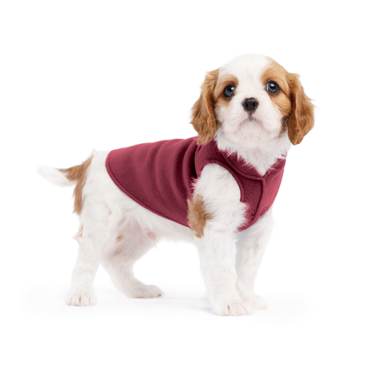 Stretch Fleece
