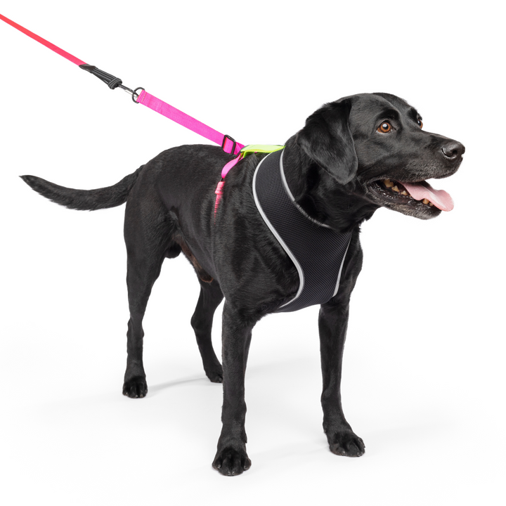 Featherweight Air Harness