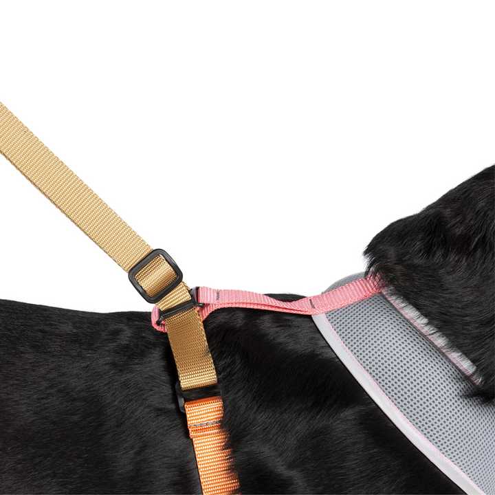 Featherweight Air Harness