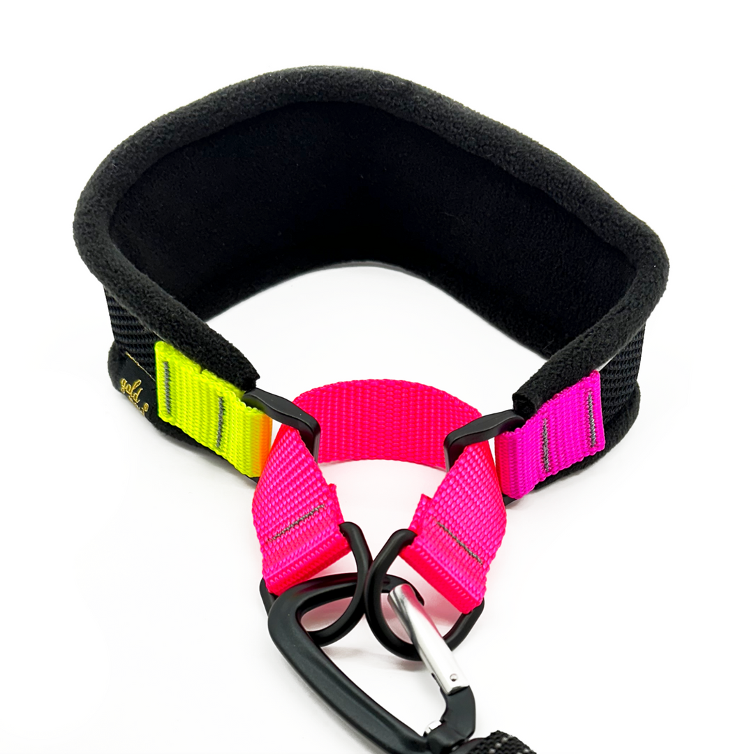 Featherweight Hound Collar
