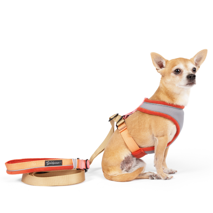 Featherweight Harness