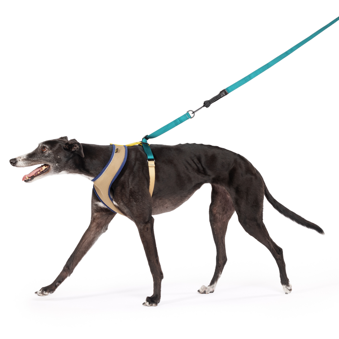 Featherweight Harness