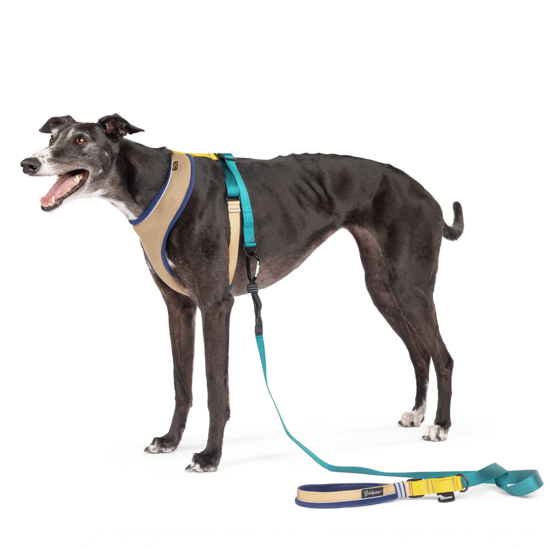 Featherweight Harness