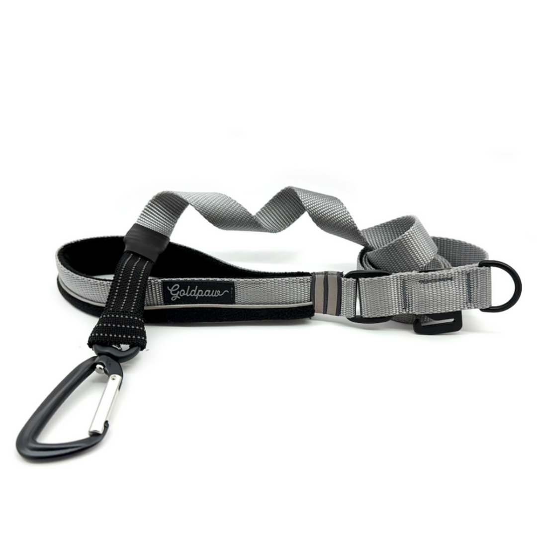 Featherweight Leash