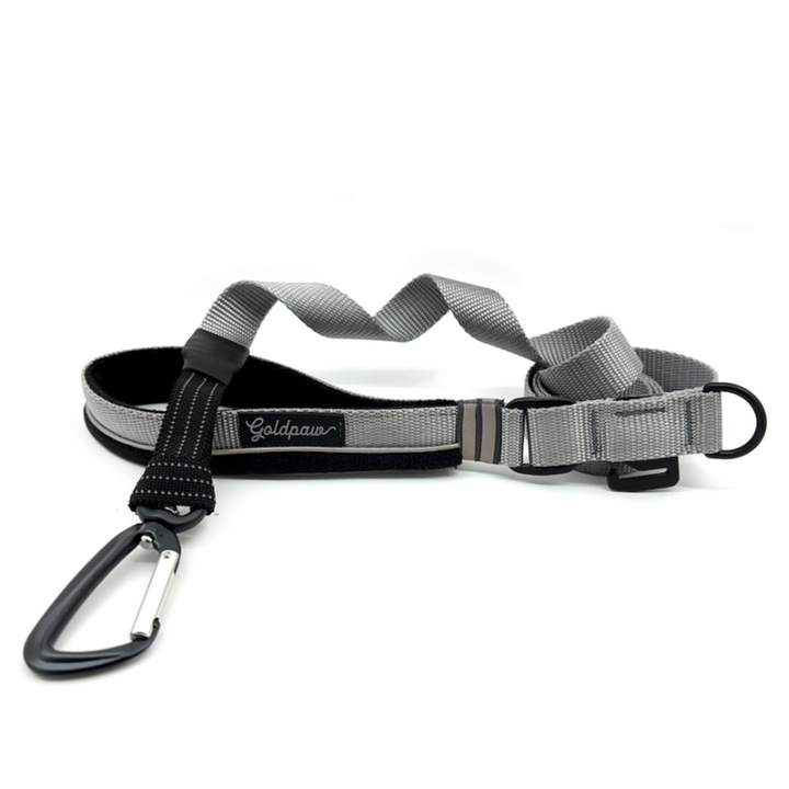 Featherweight Leash