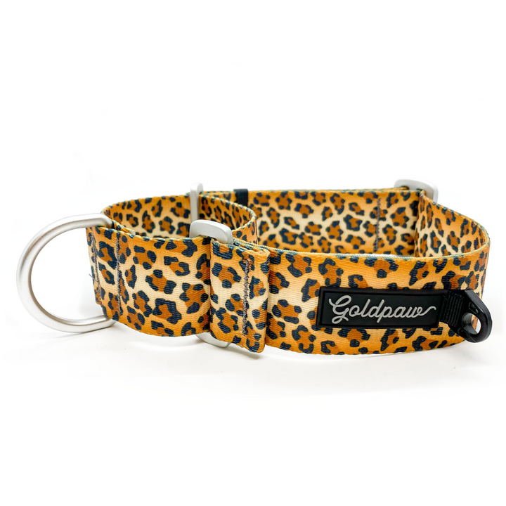 SALE - Featherweight Martingale Collar