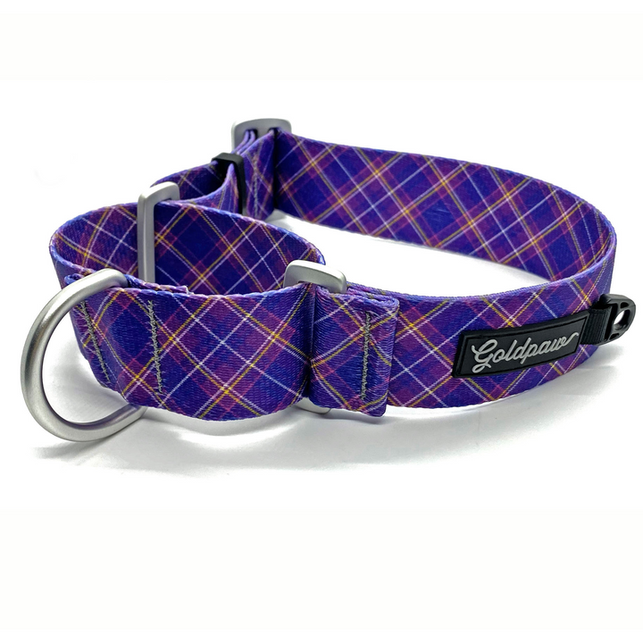 SALE - Featherweight Martingale Collar