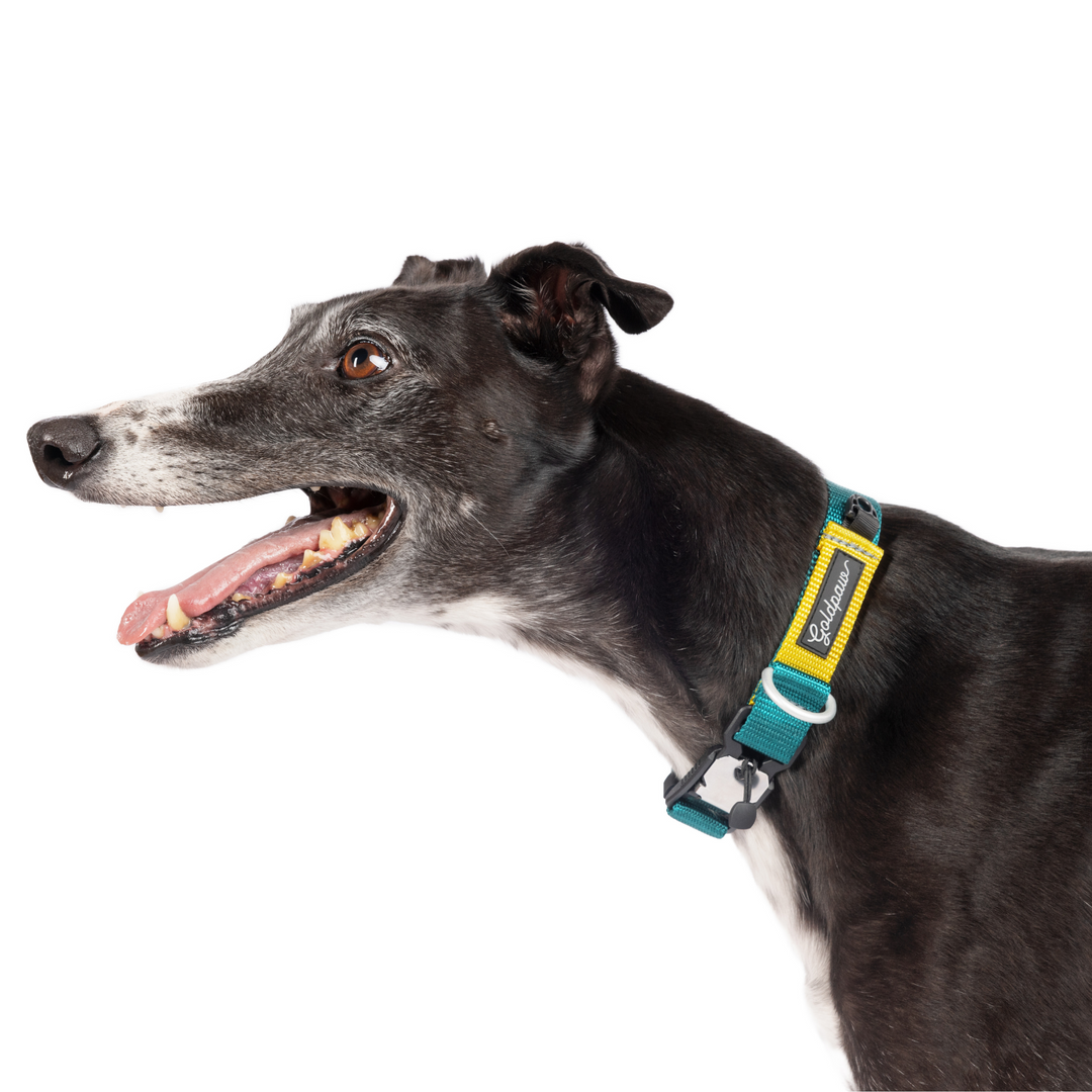 Featherweight SwiftLock Collar